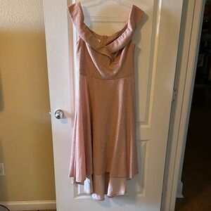 Oleg Cassini Shimmering Blush Dress